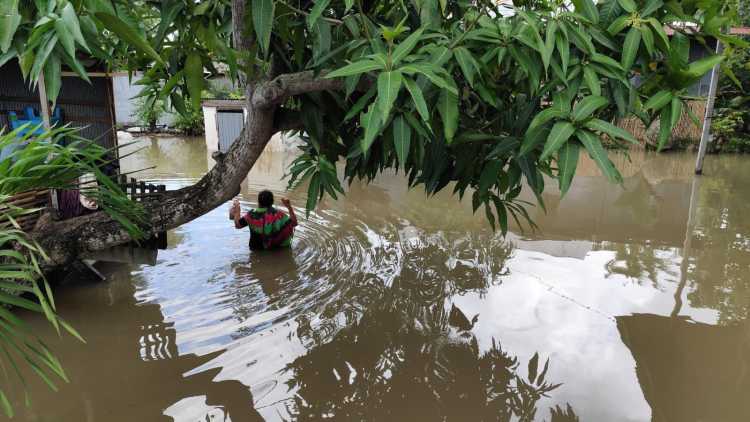 Potret rumah warga yang terdampak banjir di Kabupaten Sidenreng Rappang pada Kamis (4/7).