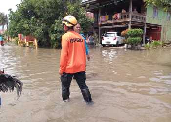 BPBD Kabupaten Sidenreng Rappang turun ke lokasi terdampak untuk segera melakukan pendataan dan penaganan banjir.