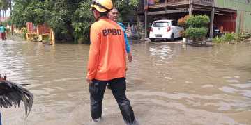 BPBD Kabupaten Sidenreng Rappang turun ke lokasi terdampak untuk segera melakukan pendataan dan penaganan banjir.
