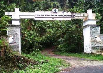 Pemprov Papua Barat Disoroti Forum Pemerhati Pembangunan Taman Wisata Gunung Meja