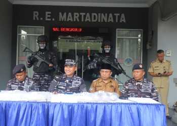 TNI AL Kembali Gagalkan Penyelundupan 3.500 Benih Bening Lobster Senilai 850 Juta di Bengkulu