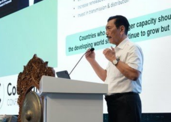 Soal PLTU, Menko Marves: Indonesia Tak Perlu Dikuliahi untuk Transisi Energi