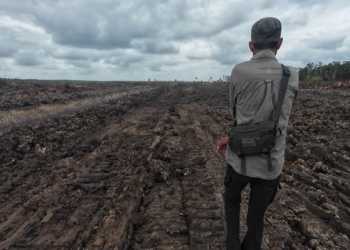 Dinilai Langgar Hak Hidup, Presiden Diminta Hentikan Proyek Sawah di Merauke