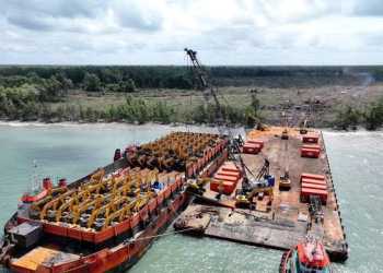 PSN di Merauke Dinilai Melanggar Ketentuan Pidana Keanekaragaman Hayati