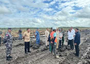 TNI Dilarang Terlibat Bisnis Proyek Strategis Nasional di Papua