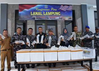 TNI AL Kembali Berhasil Gagalkan Penyelundupan Benih Bening Lobster di Lampung