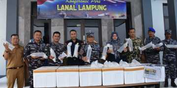 TNI AL Kembali Berhasil Gagalkan Penyelundupan Benih Bening Lobster di Lampung