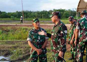 Cegah Pelanggaran HAM Berat, LBH Papua : Hentikan Kebijakan Pelibatan TNI dalam PSN