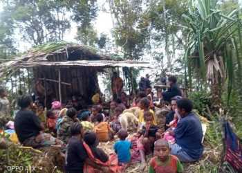 3.424 Warga Sipil Papua Mengungsi di bulan Desember 2024, Presiden RI Disoroti