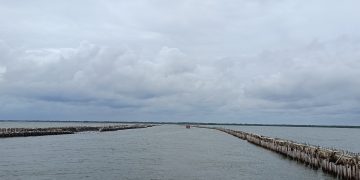 Begini Penjelasan Resmi Kadis Perikanan Kab. Bekasi, Iman Santoso Terkait Pembangunan Pagar Laut di Tarumajaya!