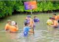 Peringati World Environment Education Day 2025, Harris Hotel Jakarta-Bekasi Gelar Tanam Mangrove di Muara Gembong