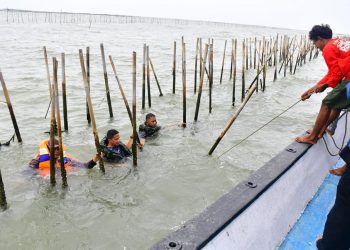 PAGAR LAUT ILEGAL DI TANGERANG SUDAH TERCABUT 9 KM, TNI AL: LEBIH CEPAT KITA SELESAIKAN, LEBIH CEPAT NELAYAN BISA MELAUT