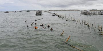 TERUSKAN PEMBONGKARAN, TNI AL BERSAMA INSTANSI MARITIM DAN NELAYAN SUDAH BERHASIL BONGKAR PAGAR LAUT SEJAUH 18,7 KM DI TANGERANG