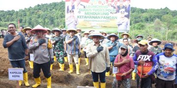 DUKUNG KETAHANAN PANGAN NASIONAL, POLDA KEPRI AKAN TANAM 30.000 BIBIT JAGUNG