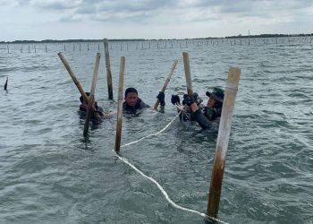 LEBIH DARI SEPARUH PAGAR LAUT BERHASIL DI BONGKAR TNI AL BERSAMA INSTANSI MARITIM DAN MASYARAKAT NELAYAN DI TANGERANG