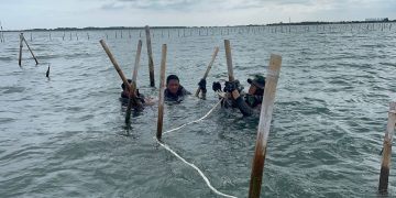 LEBIH DARI SEPARUH PAGAR LAUT BERHASIL DI BONGKAR TNI AL BERSAMA INSTANSI MARITIM DAN MASYARAKAT NELAYAN DI TANGERANG