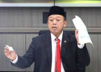 194 Perusahaan Sawit Babat Hutan 1 Juta Hektare secara Ilegal