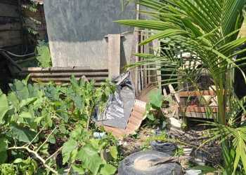 Pengadaan Pengelolaan Air Limbah Domestik Rp 3.6 M Langkat Dinilai Jadi Bancakan Korupsi