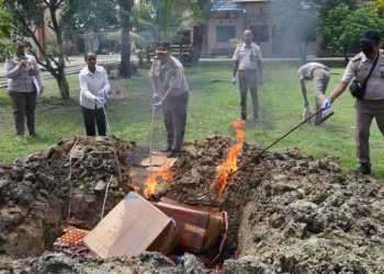 Pemusnahan jeroan dan telur ayam serta sejumlah unggas di Kantor Balai Karantina Papua Barat Daya di Sorong//IST