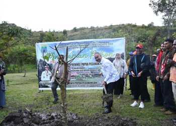 Pemprov Papua Pegunungan Mendorong Kampung Wisata Berbasis Adat