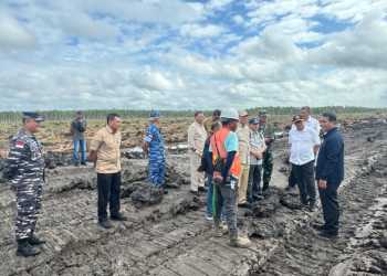 Surat Kekhawatiran Deforestasi di Papua Dilayangkan ke Uni Eropa
