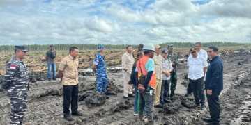 Surat Kekhawatiran Deforestasi di Papua Dilayangkan ke Uni Eropa