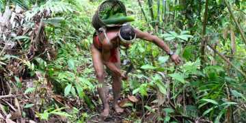 Pengakuan Terhadap Wilayah Adat di Tanah Papua Masih Tersendat