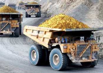 DBH PT Freeport Harus Merata di Enam Provinsi di Tanah Papua