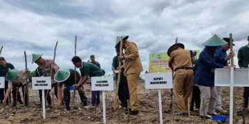 Papua Barat Dialokasikan Program Pengembangan Padi Gogo dari Kementan RI