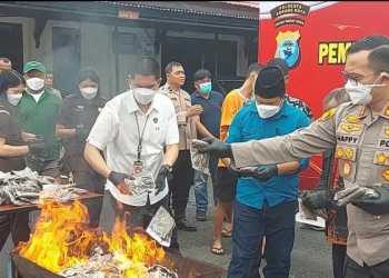 Polisi Musnahkan Barang Bukti Ganja seberat 6 Kilogram di Sorong
