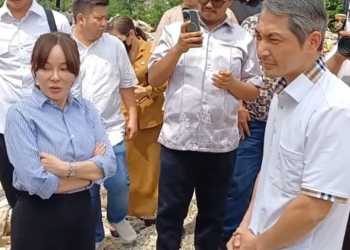 Batas Patok dengan Apartemen & DAS Baloi Permata Lubuk Baja Batam diduga Bermasalah, Wakil Kepala BP Batam Perintahkan Normalisasi