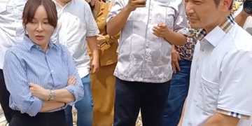 Batas Patok dengan Apartemen & DAS Baloi Permata Lubuk Baja Batam diduga Bermasalah, Wakil Kepala BP Batam Perintahkan Normalisasi