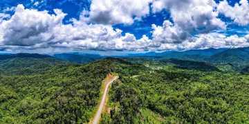 Perkuat pengawasan illegal logging di Papua Barat Daya, Masyarakat Adat Diminta Terlibat