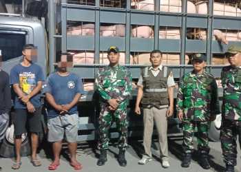 TNI AL Gagalkan Penyeludupan 66 Ekor Hewan Tanpa Dokumen Resmi di Banyuwangi