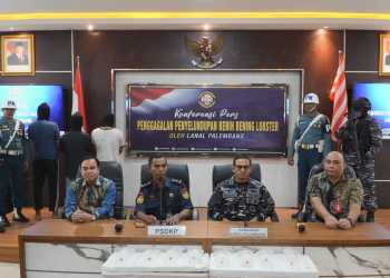 Rugikan Negara Sebesar Rp. 54 Milyar, Penyeludupan 360.000 Benih Lobster Berhasil Digagalkan TNI AL di Muara Betara Jambi
