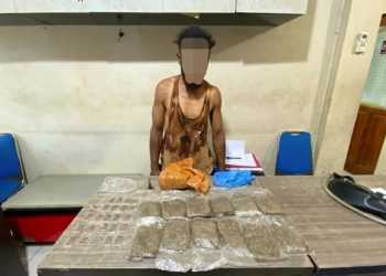 Terduga Pengedar Narkoba di Kota Jayapura Ditangkap Polisi