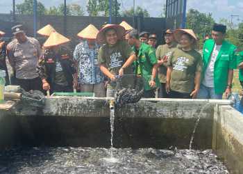 Dukung Ketahanan Pangan Ansor Jatim Sisir Dari Desa