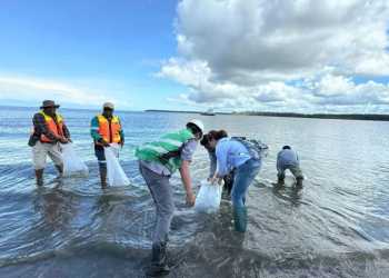 Freeport Indonesia Jaga Ekosistem di Perairan Mimika