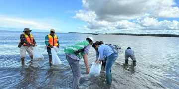 Freeport Indonesia Jaga Ekosistem di Perairan Mimika