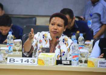 Pastikan Transparansi Freeport Indonesia dan Keadilan, DPD RI Akan Gelar RDP