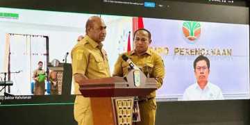 Tingkatkan PAD, Pemerintah Bahas Rencana Pengelolaan Hutan di Papua Barat
