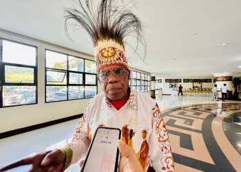 Anggota DPR RI Desak Pemerintah Hentikan Aktivitas Tambang Ilegal di Pegunungan Arfak