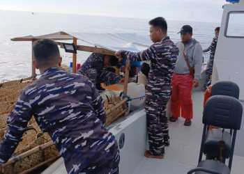 TNI AL Tangkap Kapal Bermuatan Ayam Ras Filipina dan Minuman Keras Ilegal di Perairan Kepulauan Sangihe