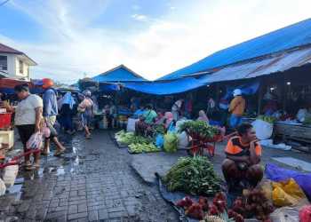 Mei 2025, Penyaluran Kredit Usaha Rakyat di Papua Barat Capai Rp129,93 Miliar