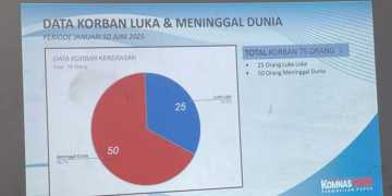 Komnas HAM RI Catat Kasus Kekerasan Sipil dan Politik di Tanah Papua