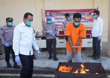 112,4 Gram Ganja Dimusnahkan, Polisi Tangkap Dua Pengendar