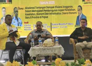 Efisiensi Anggaran Jadi Tantangan Pambangunan DOB di Tanah Papua