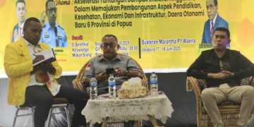 Efisiensi Anggaran Jadi Tantangan Pambangunan DOB di Tanah Papua