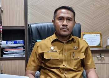Tahun 2024, Realisasi Investasi di Papua Barat Mencapai Rp13,03 Triliun