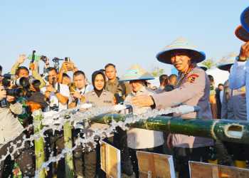 Pembiayaan Hingga Distribusi Jagung Akan Libatkan Koperasi Merah Putih